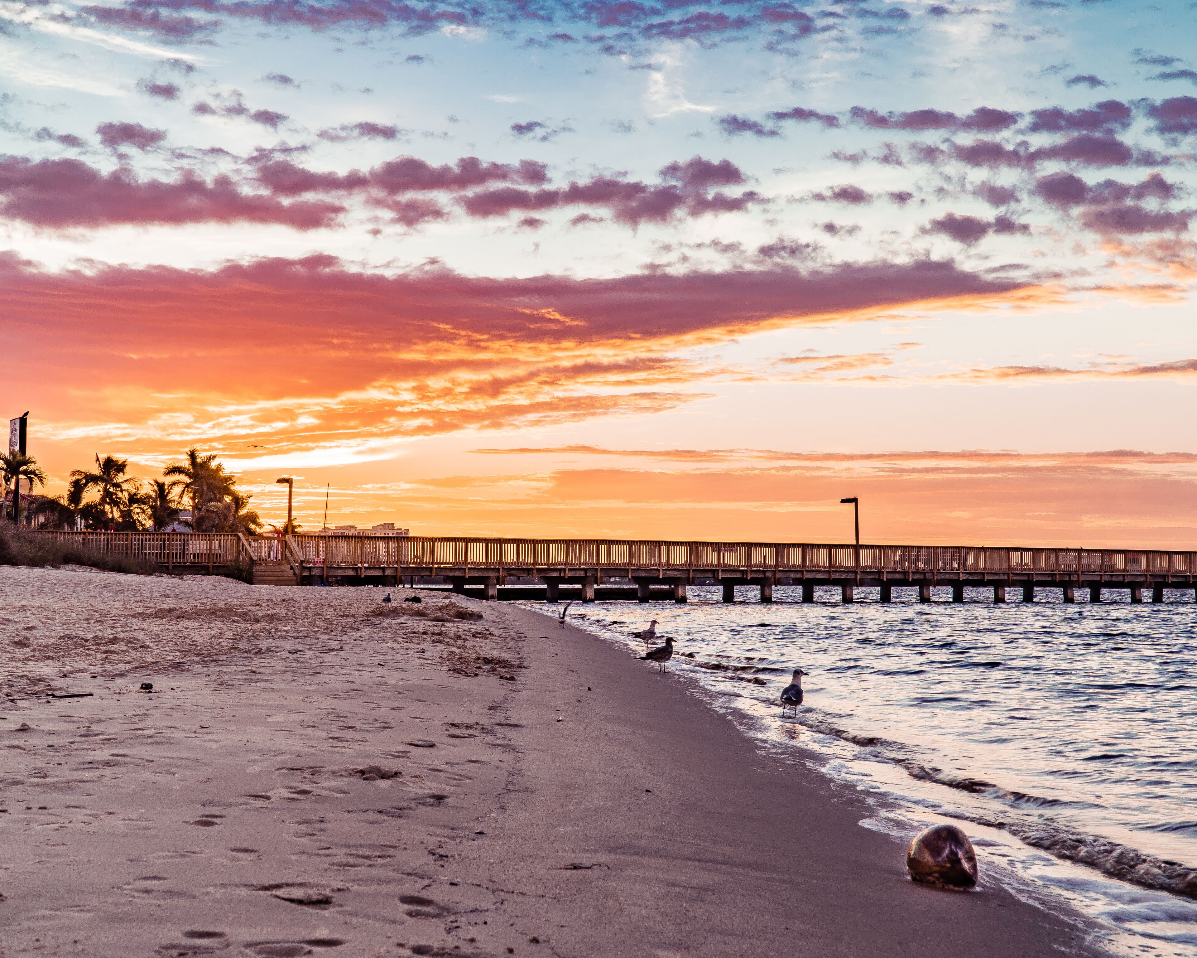A beach with a wooden pier extending into the water, palm trees, and footprints in the sand.