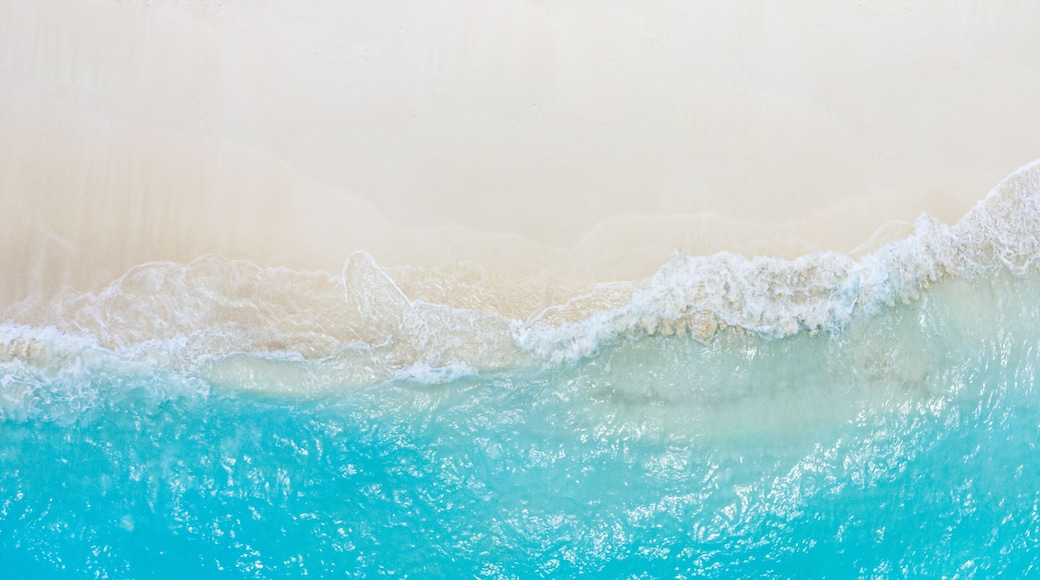 Relaxing aerial beach scene, summer vacation holiday template banner. Waves surf with amazing blue ocean lagoon, sea shore, coastline. Perfect aerial drone top view. Peaceful bright beach, seaside