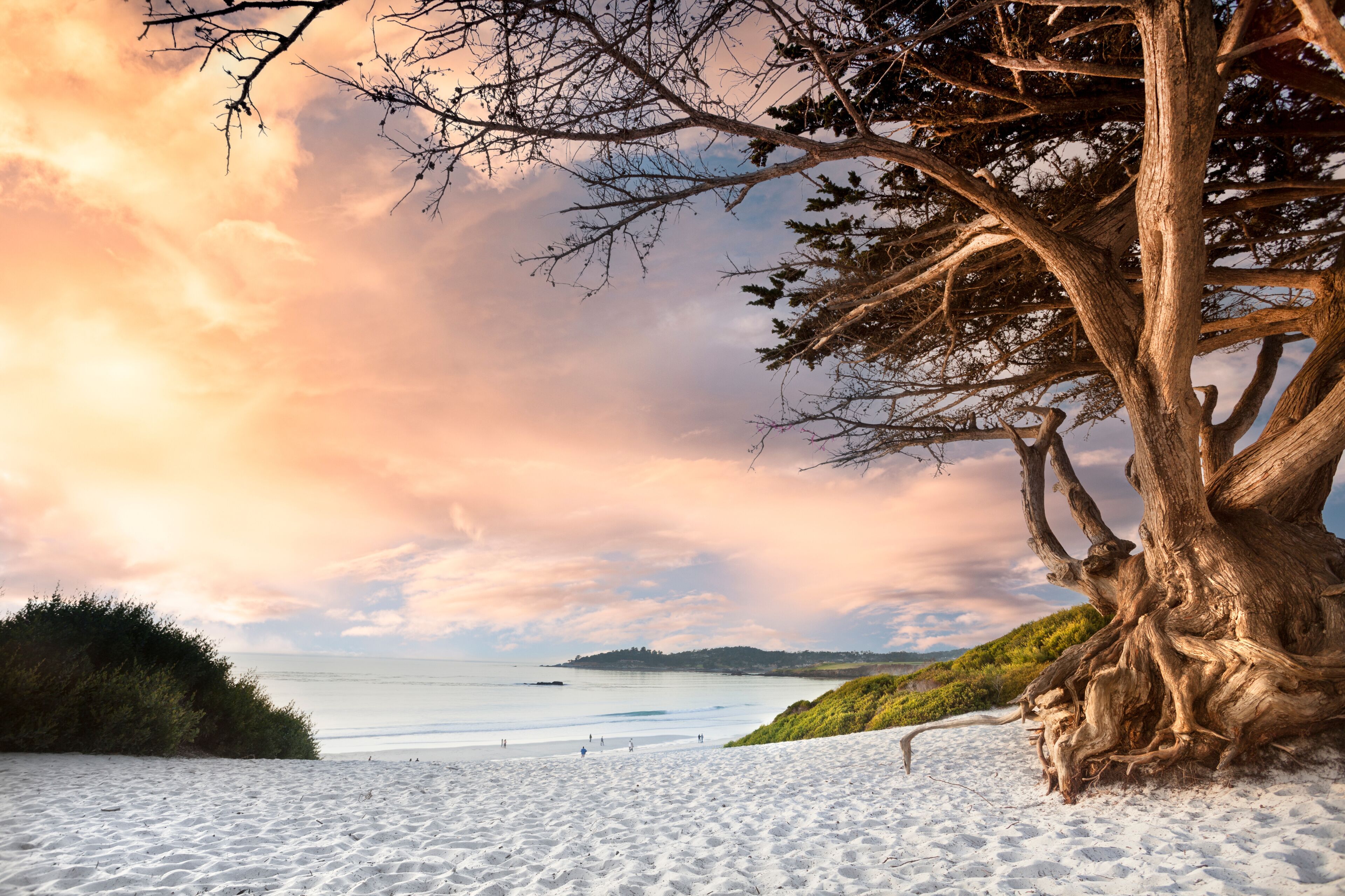Carmel-by-the-Sea California sand beach Pacific Ocean coast Monterey