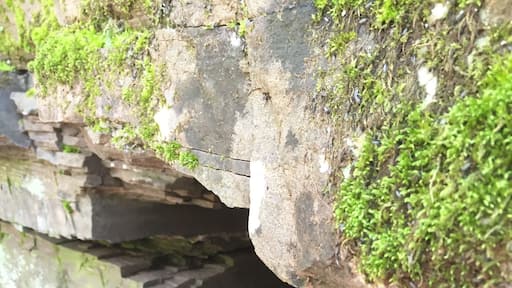 Cool rock #patterns of a tiny cave (emphasis on tiny) in Collegeville, PA! Right off a nice hiking trail!