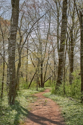 A forest trail near Collegeville, Pennsylvania, USA