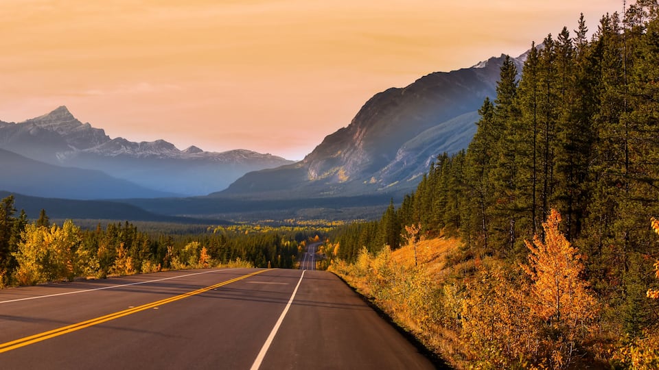 A road flanked by autumn-colored trees and mountains in the distance.