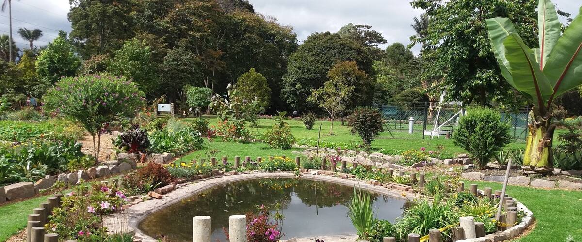 El recorrido por el Jardín Botánico de Bogotá puede tomar todo un día pero vale la pena. Las huertas y el herbario son muy bonitos. El valor de la entrada varía según la edad.