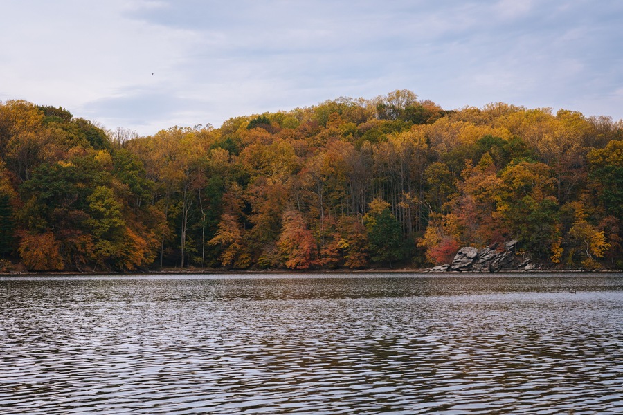 Autumn color at Loch Raven Reservoir, in Cockeysville, Maryland.