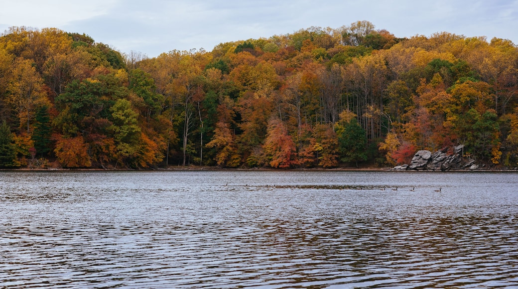 A lake with autumn-colored trees and a rocky shoreline.