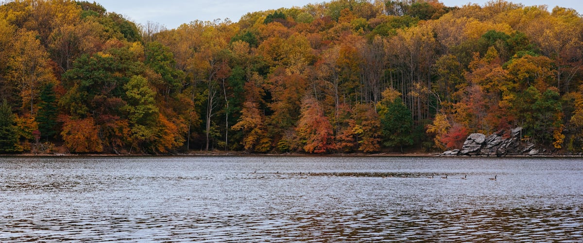 A lake with autumn-colored trees and a rocky shoreline.