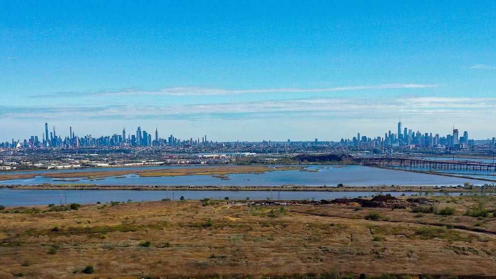 The Meadowlands
