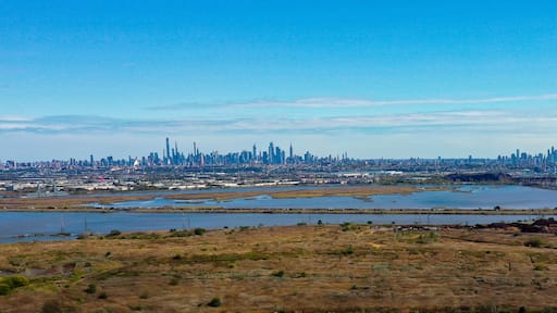 The Meadowlands