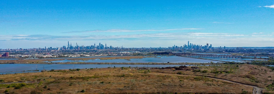 The Meadowlands