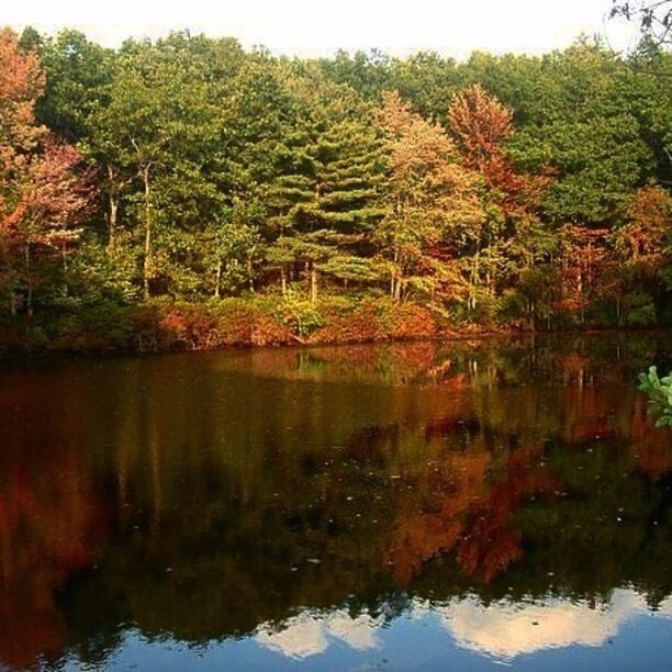 The loop around the pond is a great and easy trail for all ages and fitness levels. Bring your family and your dog! Celebrate the colors, natural beauty and history.