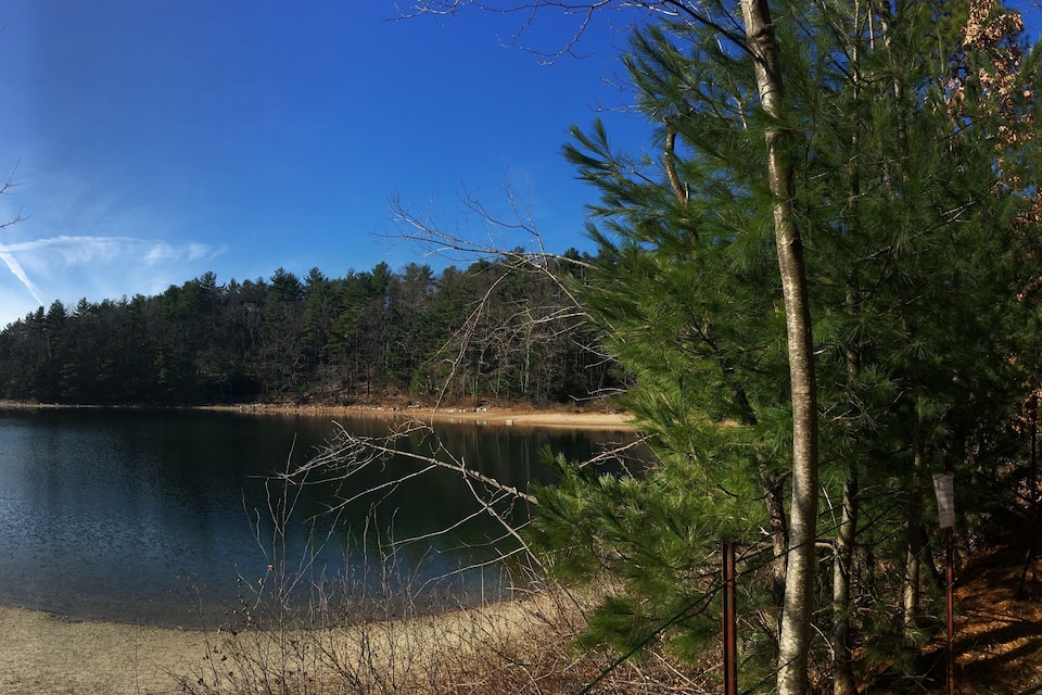 A calm lake surrounded by dense forest and a clear blue sky.