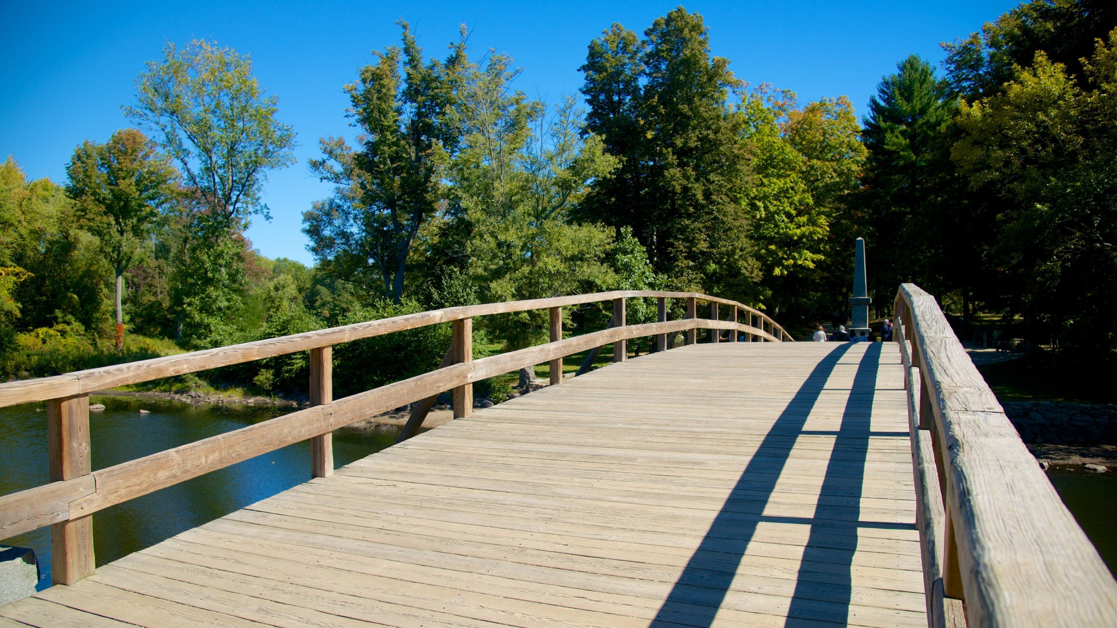A wooden bridge over a river, surrounded by trees and a clear blue sky.