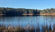 Walden Pond State Reservation