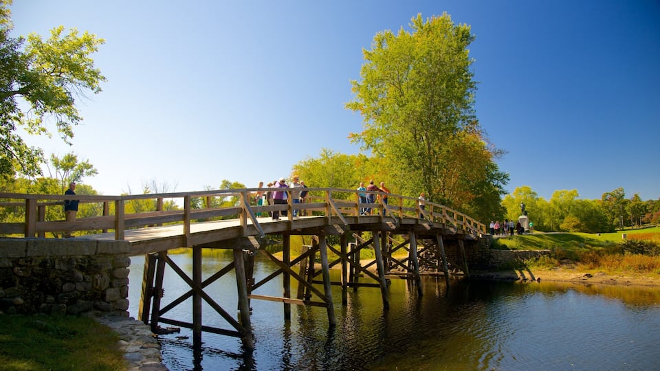 A wooden bridge over a calm river, surrounded by lush greenery and trees.