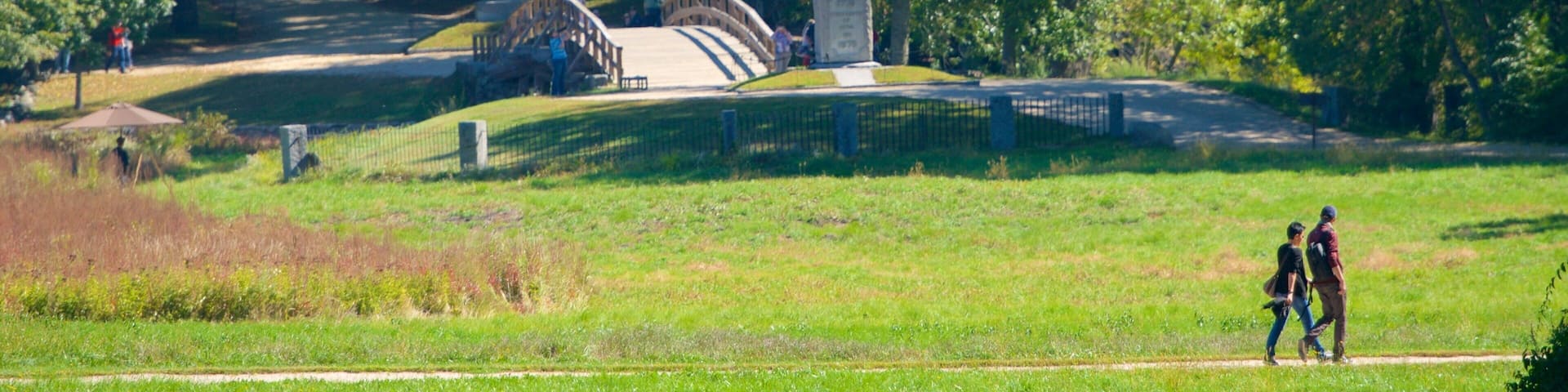 Concord mettant en vedette parc