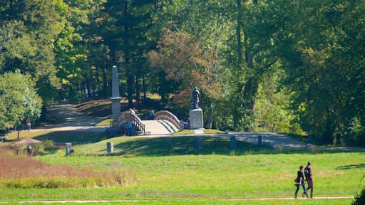 Concord mostrando un jardín