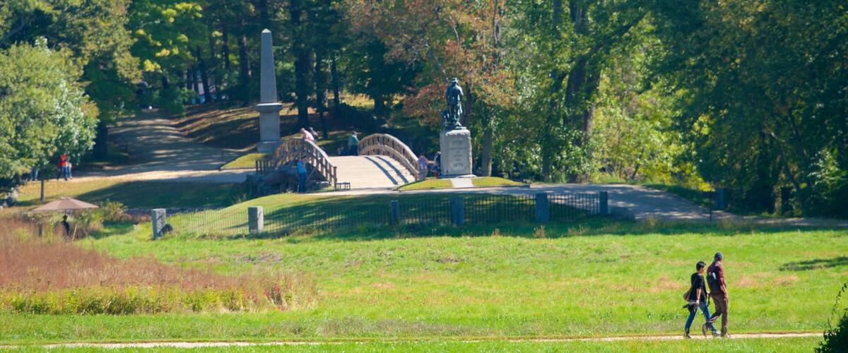 Concord showing a park