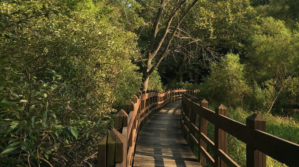 Beautiful state park with a boardwalk and hiking trails that wind around a lake shore and through a thick patch of woods. Located just off I-35, it's a great place to stretch those legs and take a break from driving.