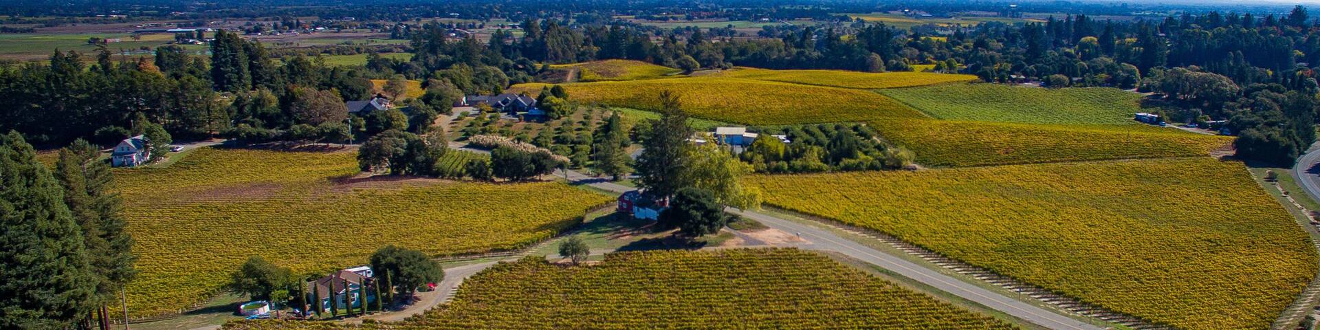 Sebastopol Vineyard estates