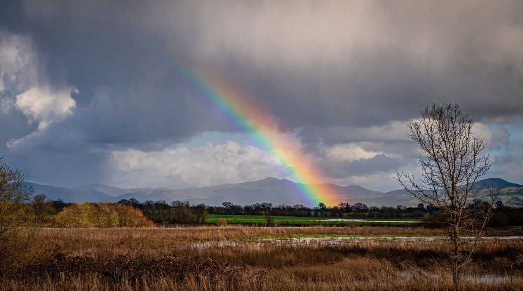 Panorama of a Rainbow over Santa Rosa, California.