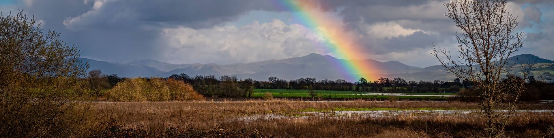 Panorama of a Rainbow over Santa Rosa, California.
