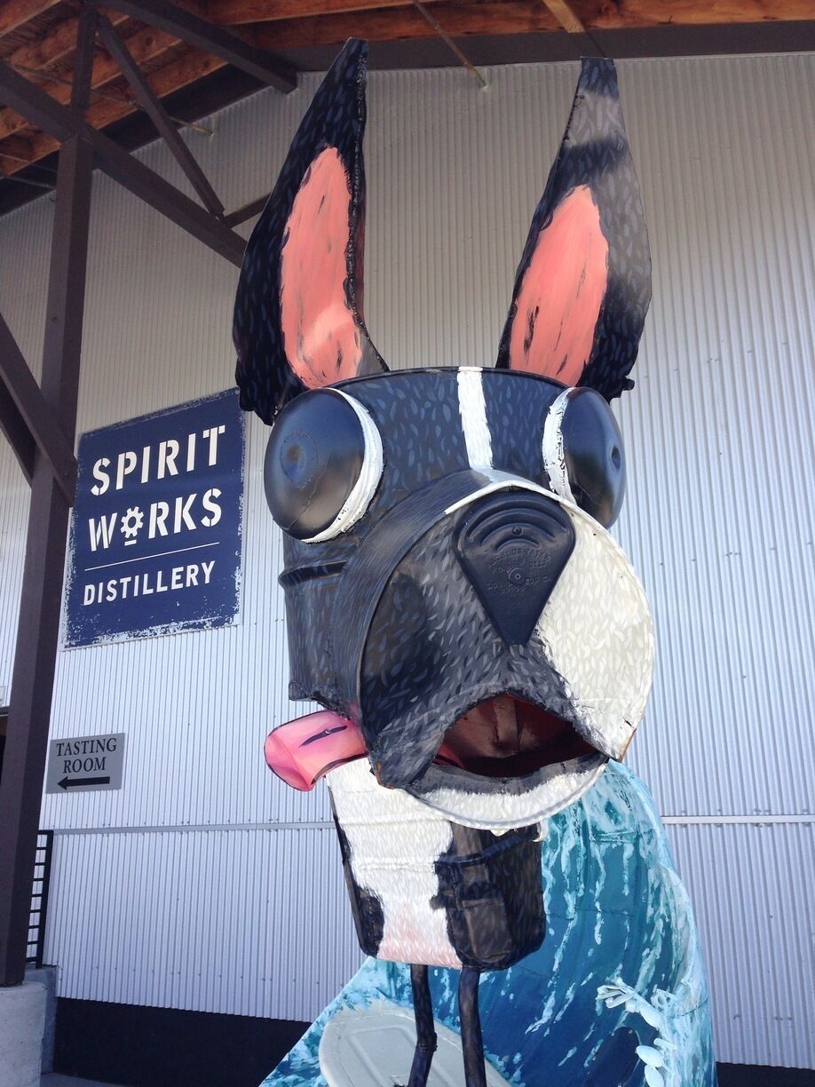 Fun surfing dog in front of the Spirit Works Distillery in Sebastopol.
