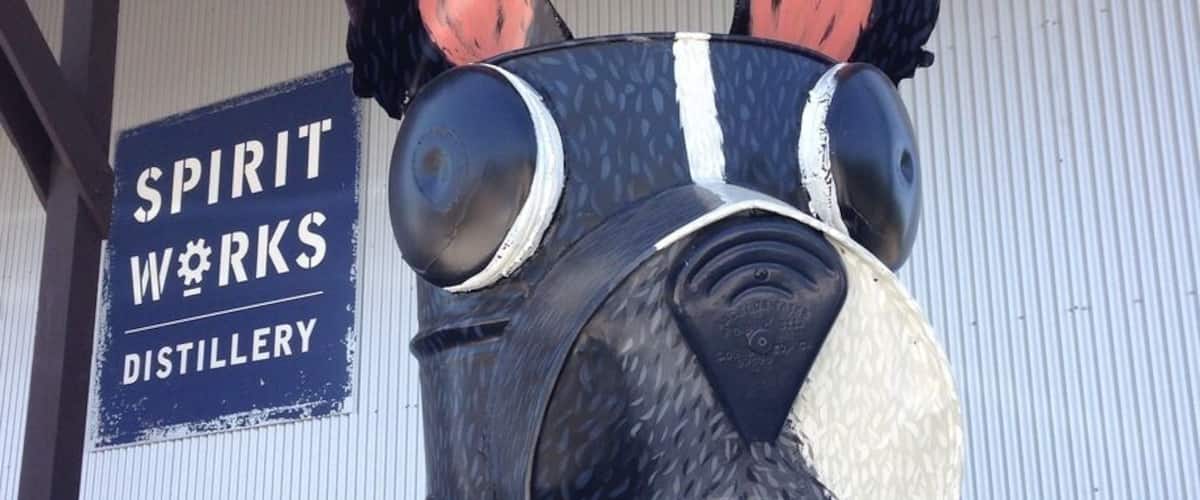 Fun surfing dog in front of the Spirit Works Distillery in Sebastopol.