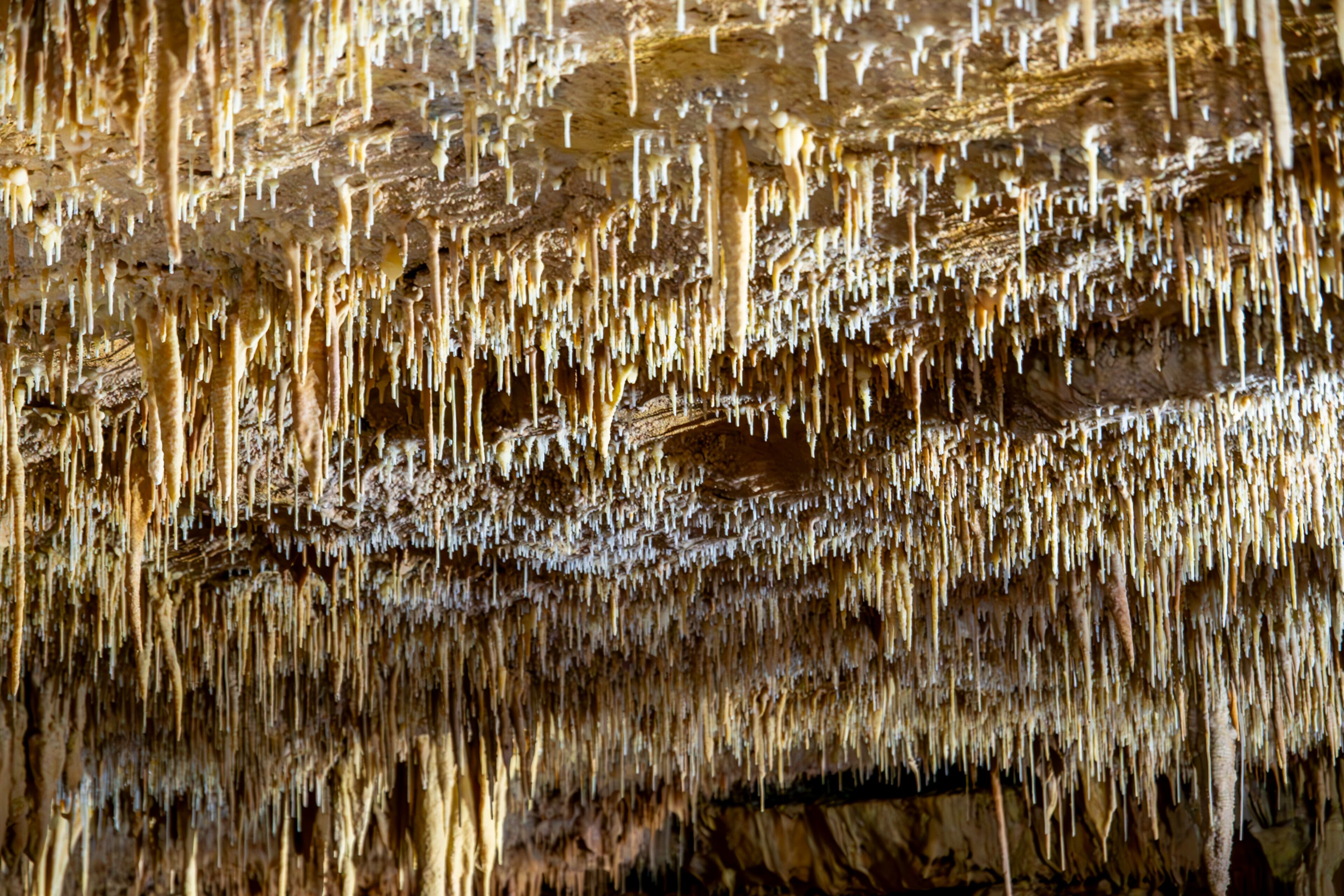 Natural bridge caverns in san antonio Texas