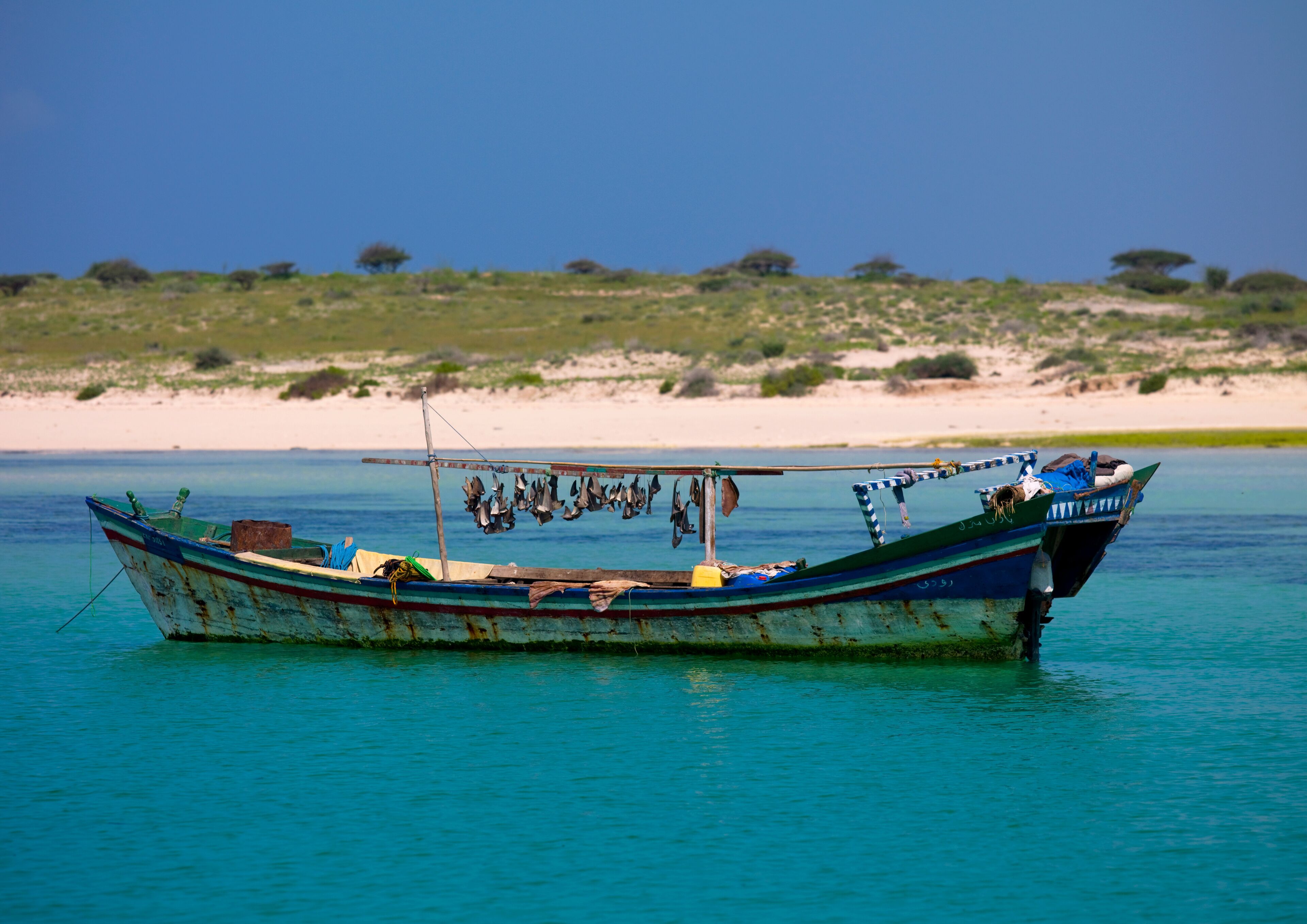 Eritrea, Horn Of Africa, Dahlak, shark fins in dahlak islands