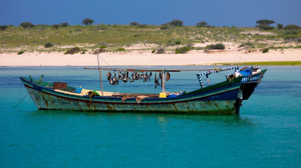 Eritrea, Horn Of Africa, Dahlak, shark fins in dahlak islands
