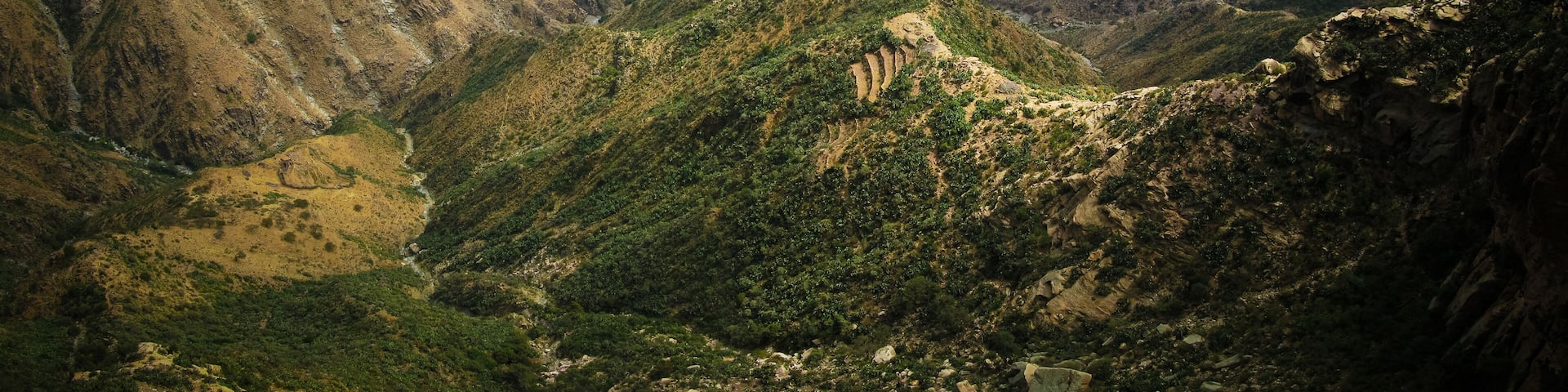 Panorama view to Adi Alauti canyon in Eritrean Highlands, Qohaito, Eritrea
