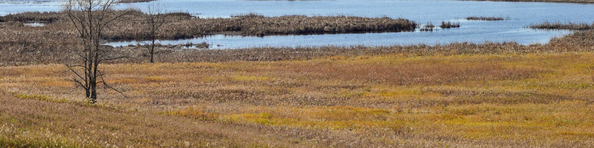 Horicon Marsh State And National Wildlife Refuge Near Horicon, Wisconsin