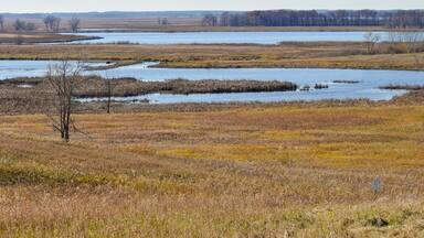 Horicon Marsh State And National Wildlife Refuge Near Horicon, Wisconsin