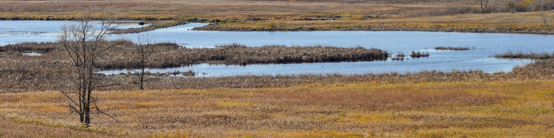Horicon Marsh State And National Wildlife Refuge Near Horicon, Wisconsin