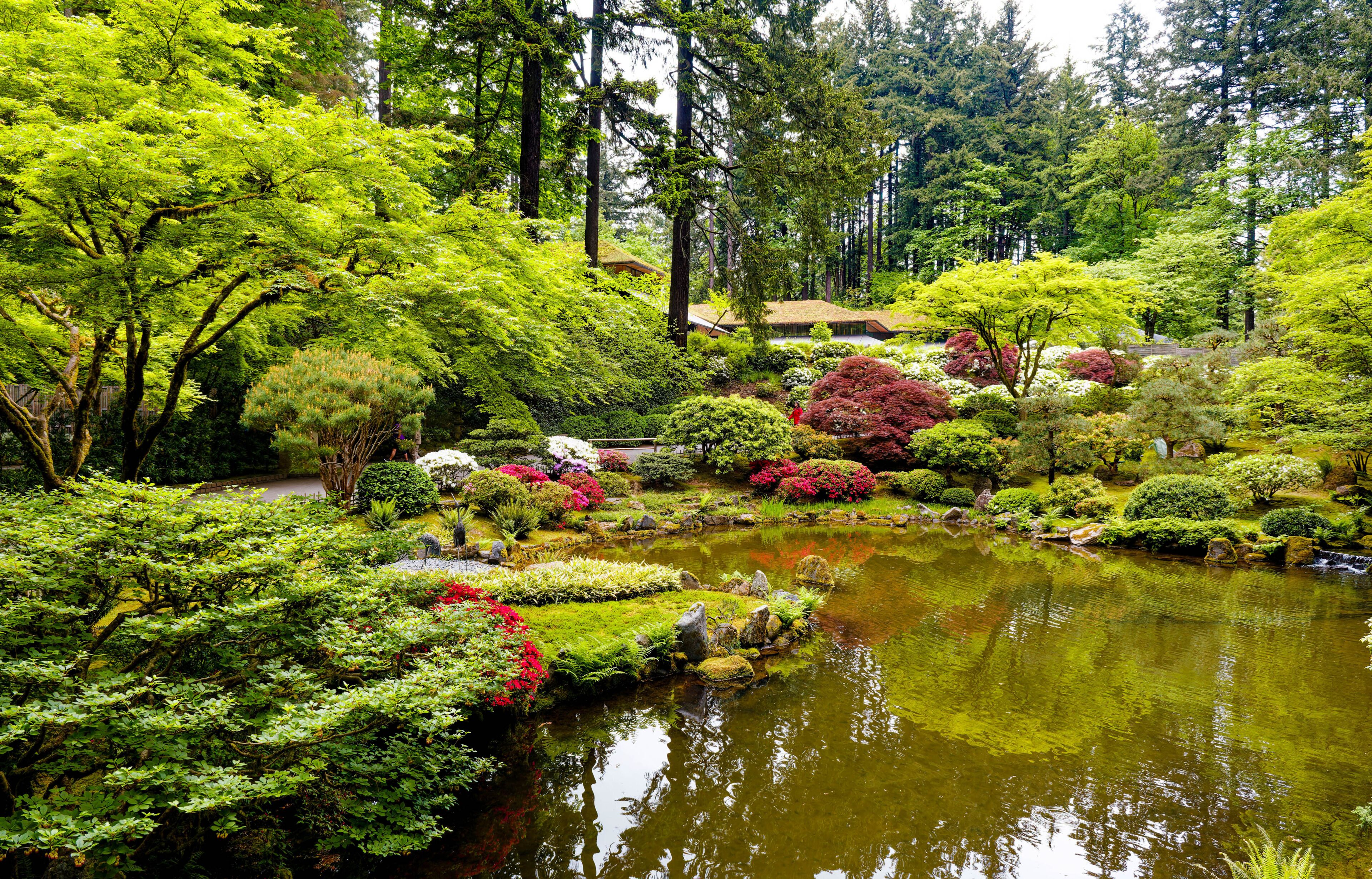 Strolling Pond Garden in Spring Bloom at the Portland Japanese Garden