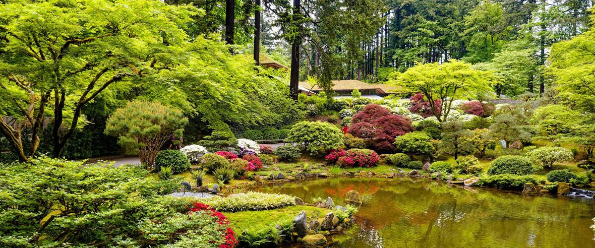 Strolling Pond Garden in Spring Bloom at the Portland Japanese Garden