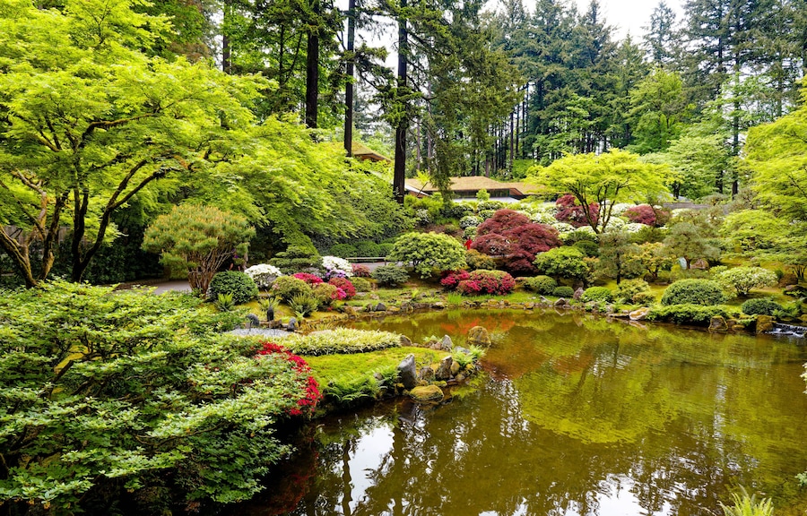 Strolling Pond Garden in Spring Bloom at the Portland Japanese Garden