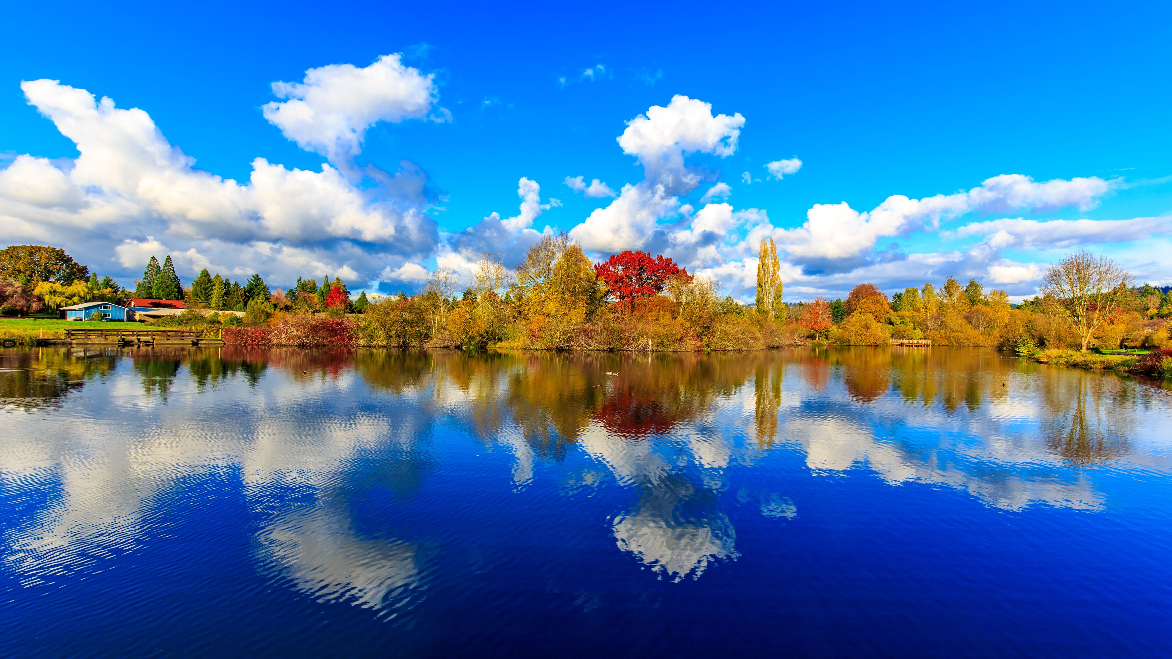 A calm lake reflecting trees and a blue house.
