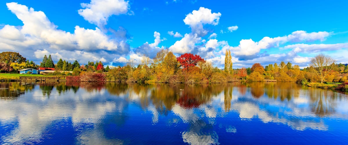 A calm lake reflecting trees and a blue house.