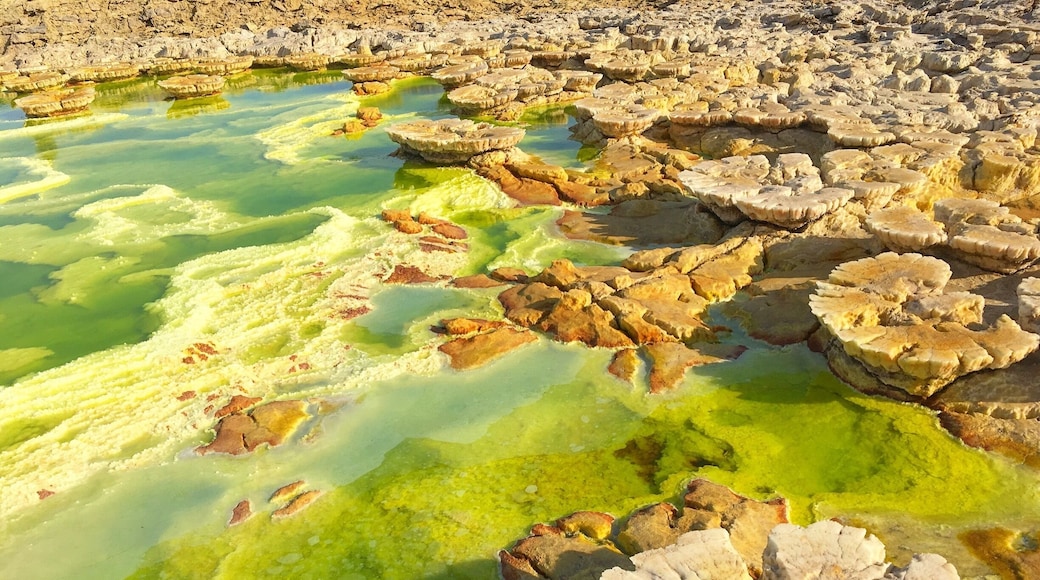 Stunning landscape of the Dallol area in the Danakil Depression that makes you feel you are on a different planet. The various salt formations are a result of the fumarolic activity of this volcanic land. The colors are due to different mineral compositions #danakildepression #dallol #ethiopia #africa #afar #green #patterns