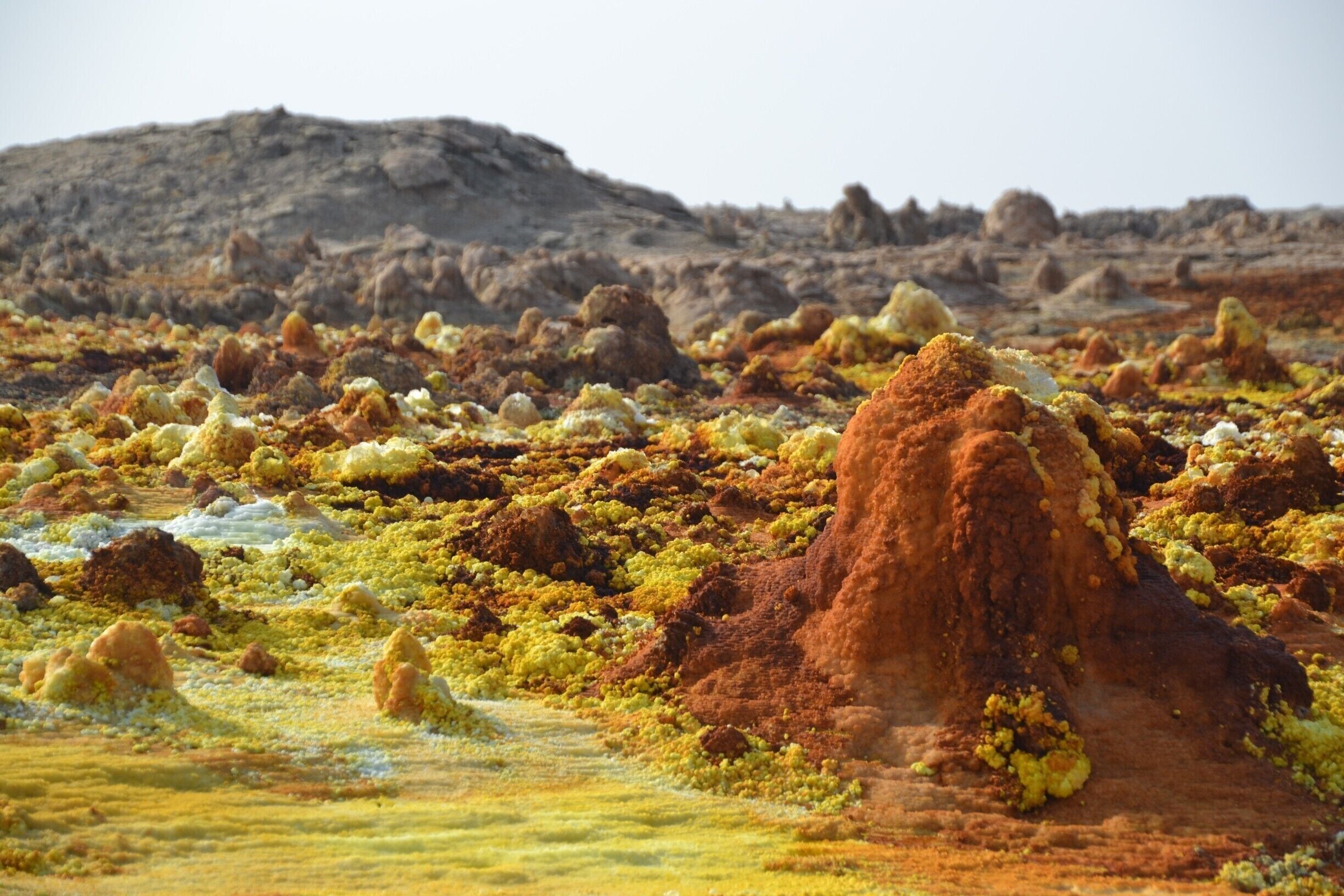 Dallol, Danakil Depression. Out-of-this-world scenery. Felt like I was visiting another planet...

#ethiopia #danakil #scenery #colorful