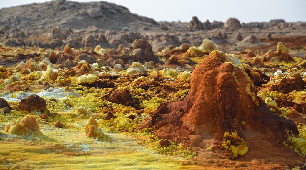 Dallol, Danakil Depression. Out-of-this-world scenery. Felt like I was visiting another planet...
#ethiopia #danakil #scenery #colorful