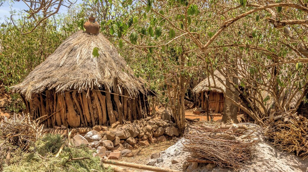 The Tribes of the Omo Valley is a paradise for photographers. Here i captured the Konzo Tribe. Join my next Photo tour in march 2020. www.timvollmer.de