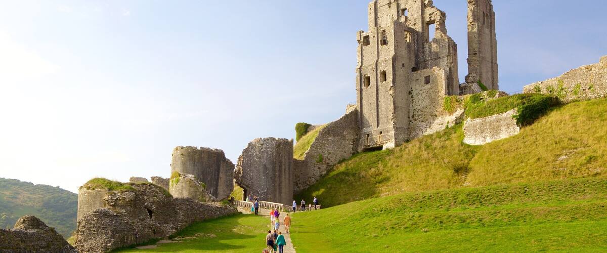 A historical castle with ruins on a grassy hill, a pathway leading up to it, and a clear sky.