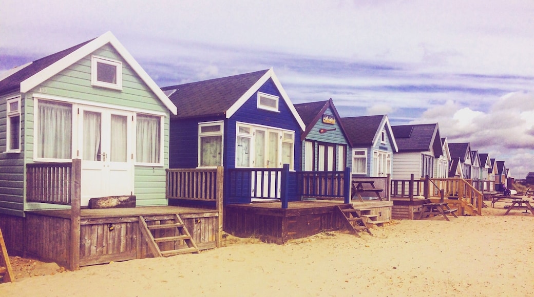 A long walk around Christchurch all the way out to Mudeford and then the ferry back...,perfect.
#green #england #takeahike
