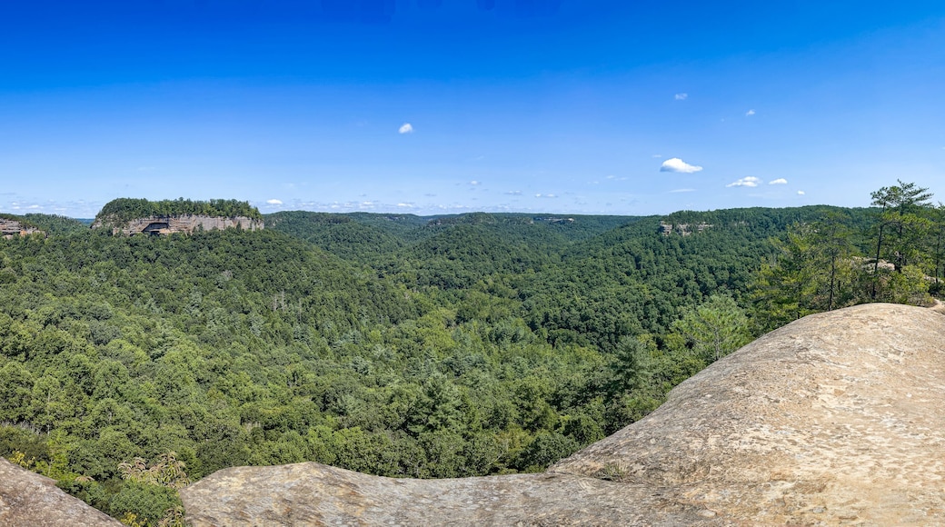 Red River Gorge Geological Area