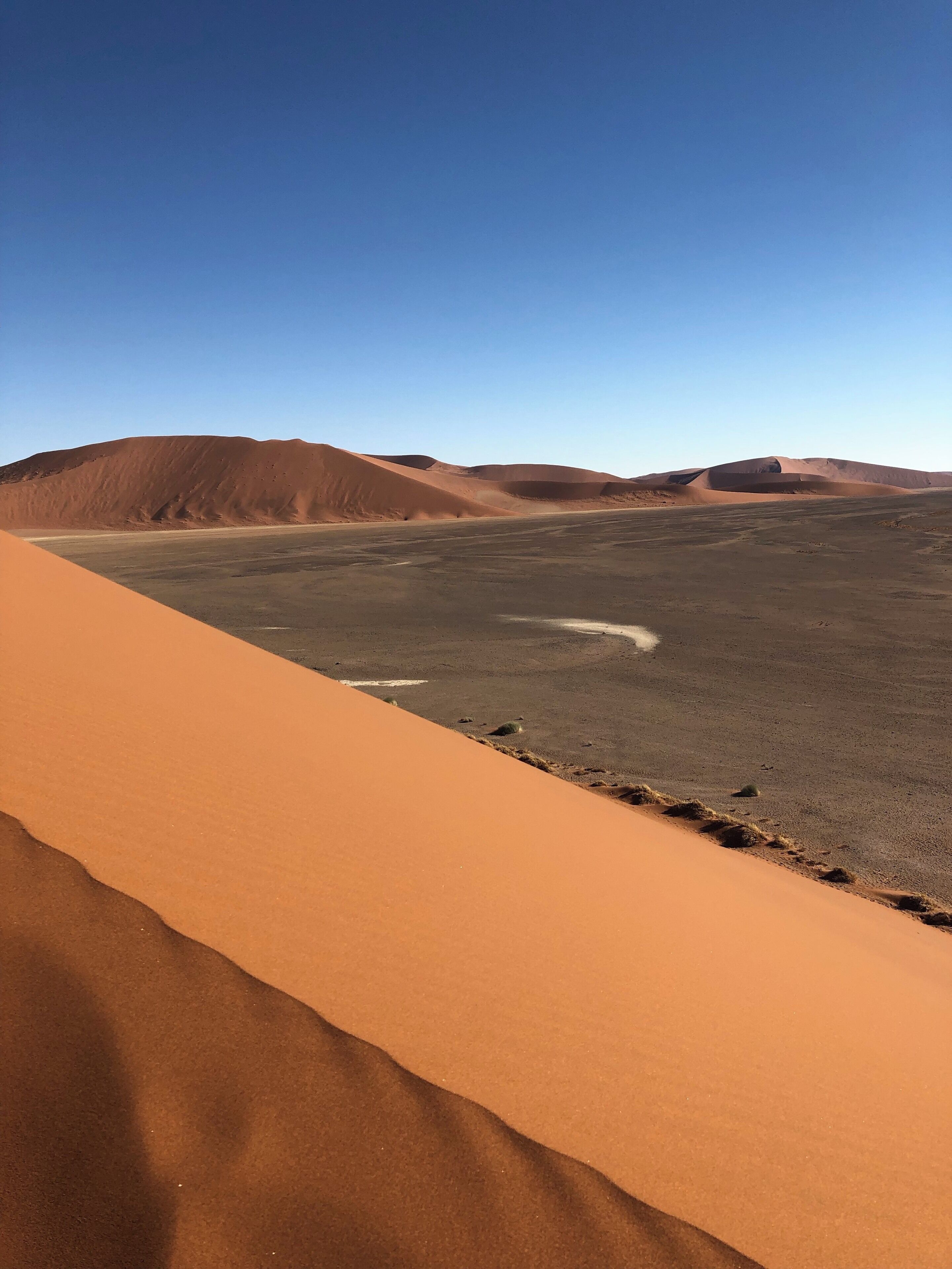 Taken from Dune 45. Steep hike up the dune. #nature