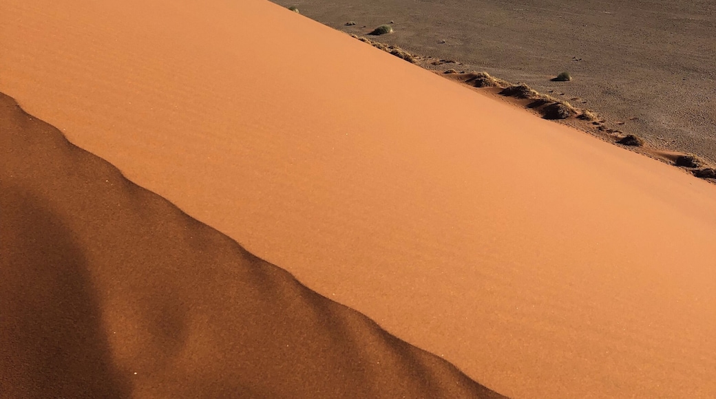 Taken from Dune 45. Steep hike up the dune. #nature