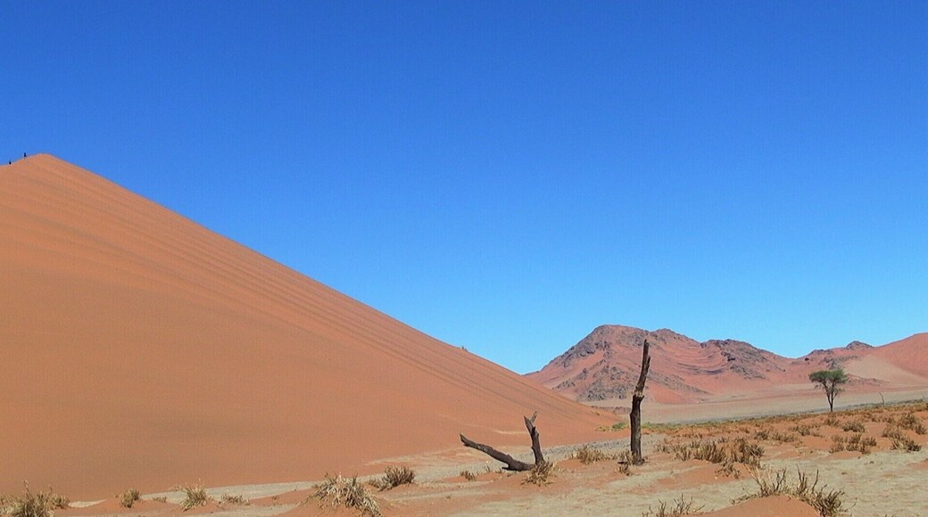 The dunes, some of the tallest in the world, are impressive and the feelings being among these silent giant red sand dunes are awe and humility. It is like entered another world.