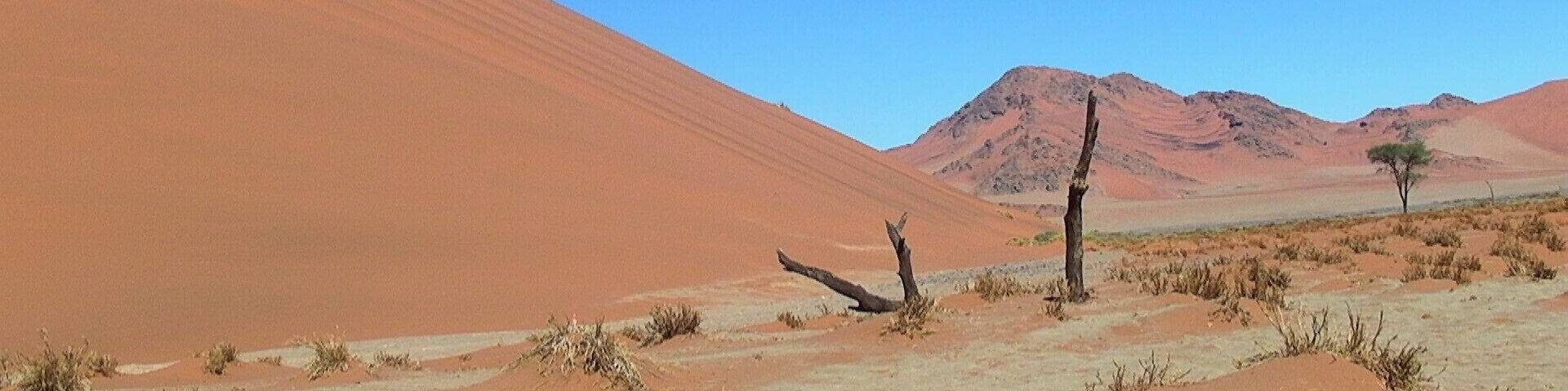 The dunes, some of the tallest in the world, are impressive and the feelings being among these silent giant red sand dunes are awe and humility. It is like entered another world.